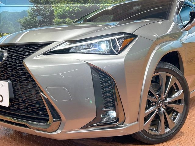 Lexus UX 12