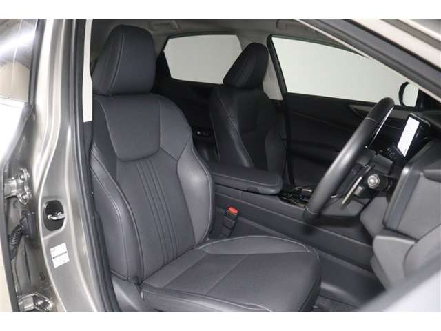 Lexus NX 12