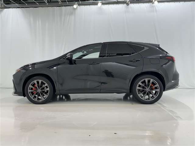 Lexus NX 5