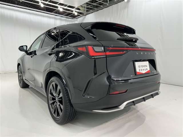 Lexus NX 6