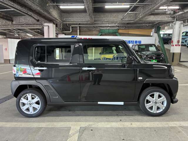 Daihatsu Taft 12