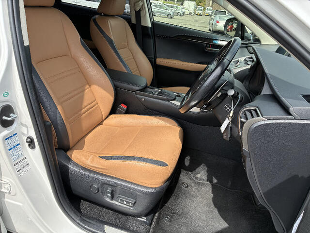 Lexus NX 12