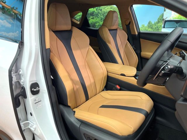 Lexus NX 11
