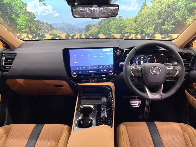 Lexus NX 2