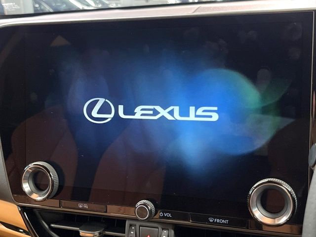 Lexus NX 4