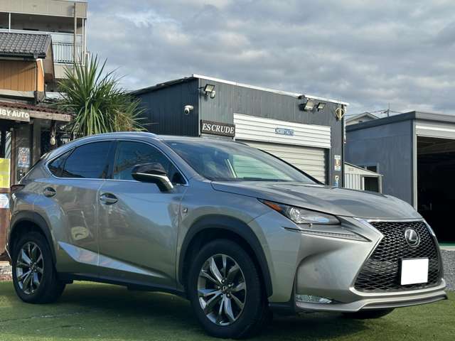 Lexus NX 11