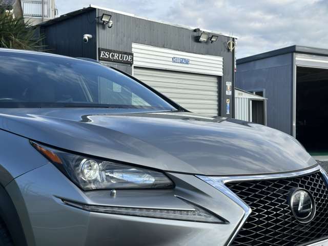 Lexus NX 12