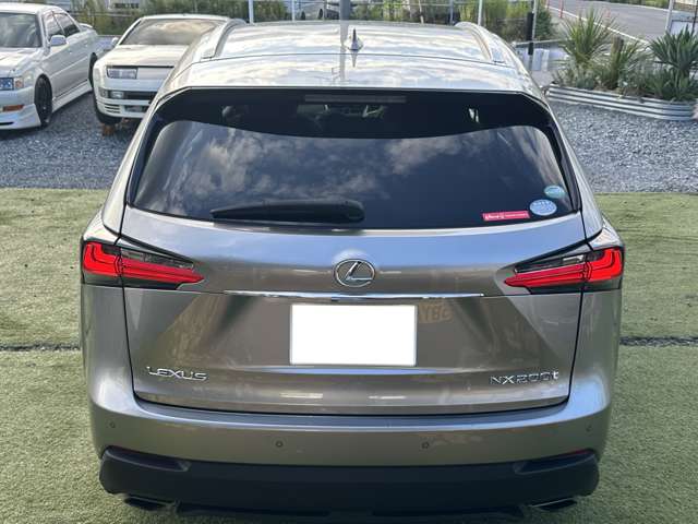 Lexus NX 7