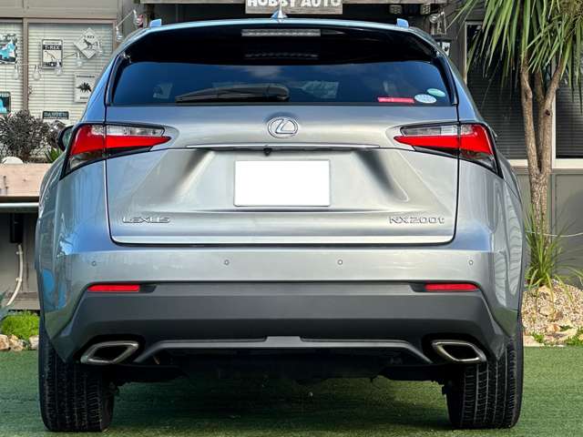 Lexus NX 8
