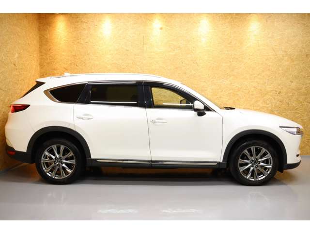 Mazda CX-8 6