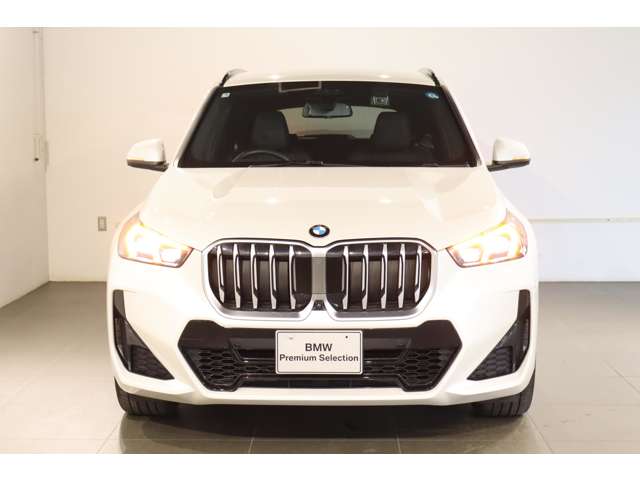 BMW X1 9