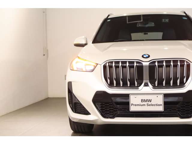 BMW X1 10
