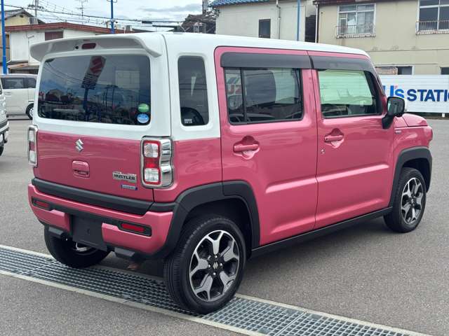 Suzuki Hustler 6