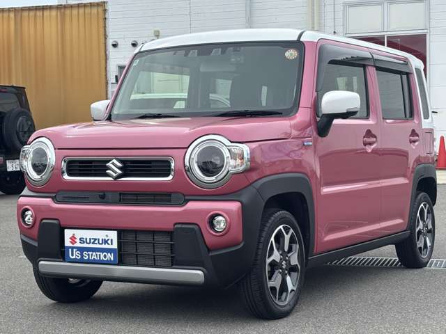 Suzuki Hustler 10