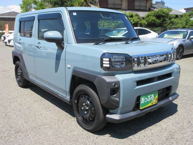Daihatsu Taft 6