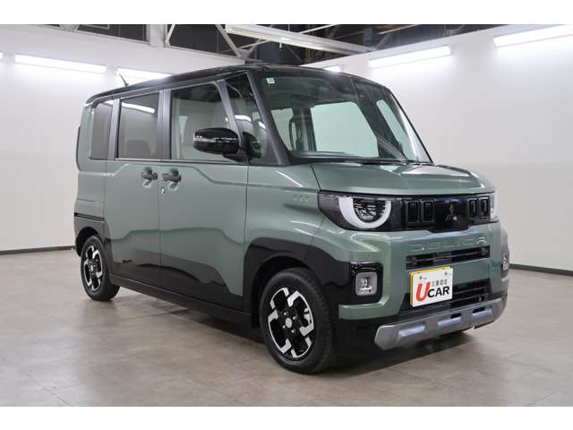 Mitsubishi Delica Mini 5