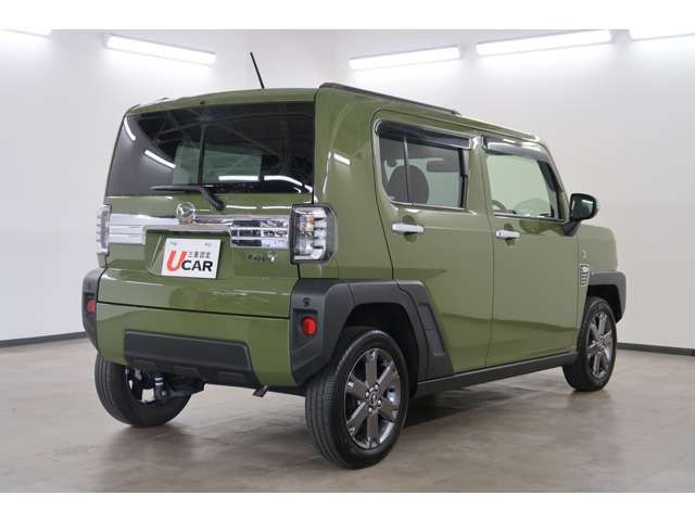 Daihatsu Taft 6