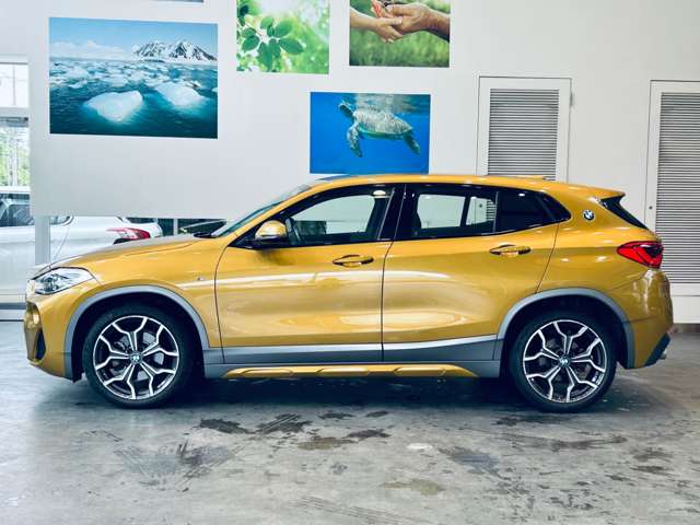 BMW X2 11