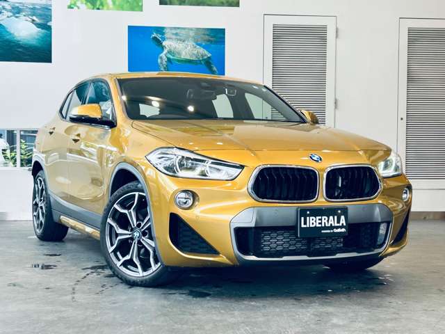 BMW X2 6