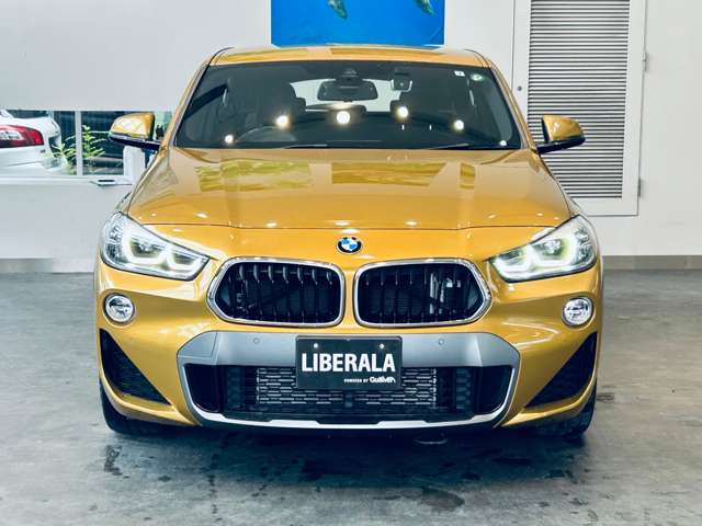 BMW X2 7