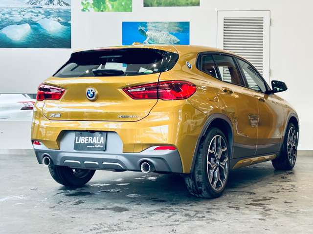 BMW X2 9