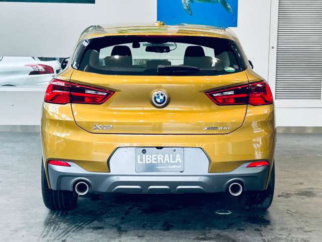 BMW X2 10