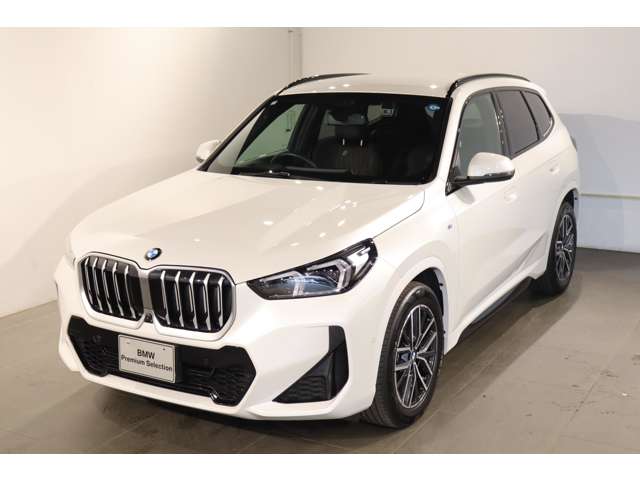 BMW X1 8