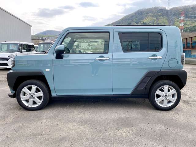 Daihatsu Taft 12