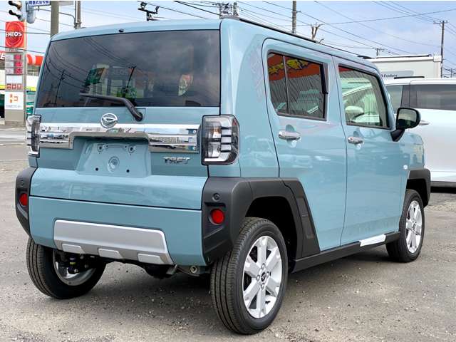 Daihatsu Taft 8