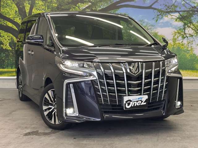 Toyota Alphard 6