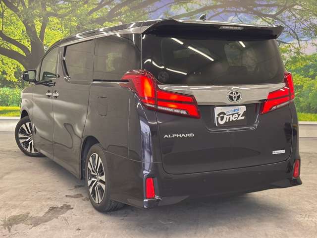 Toyota Alphard 9
