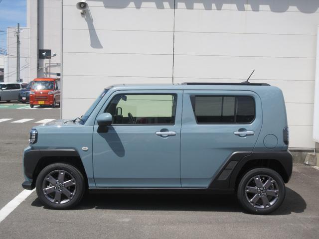 Daihatsu Taft 8