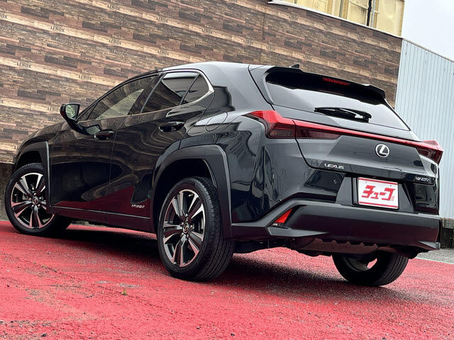 Lexus UX 6