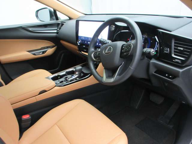 Lexus NX 2