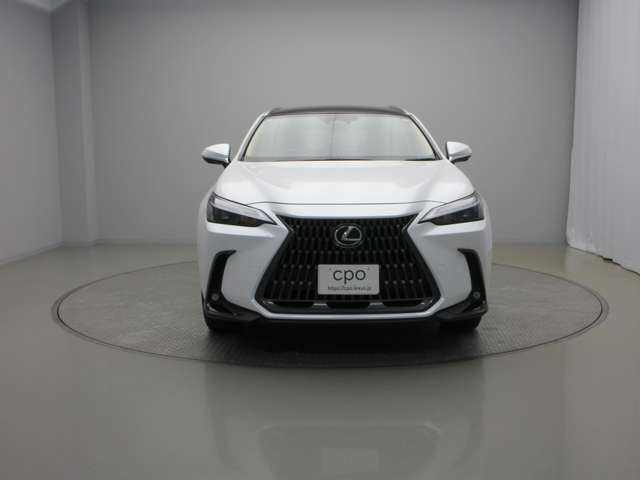 Lexus NX 4