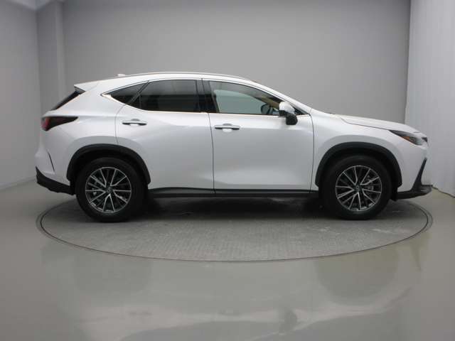 Lexus NX 5
