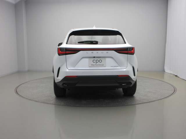 Lexus NX 6