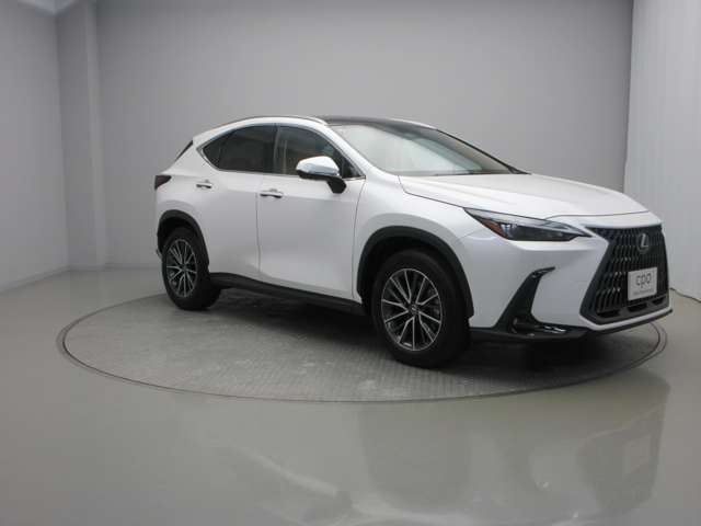 Lexus NX 7