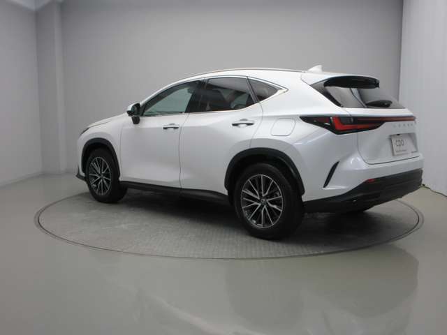 Lexus NX 8