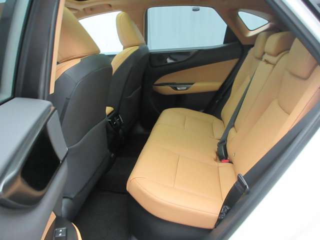 Lexus NX 10