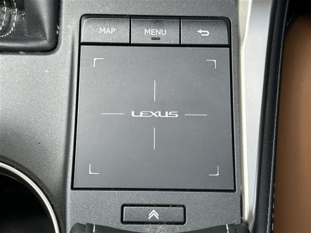 Lexus NX 10