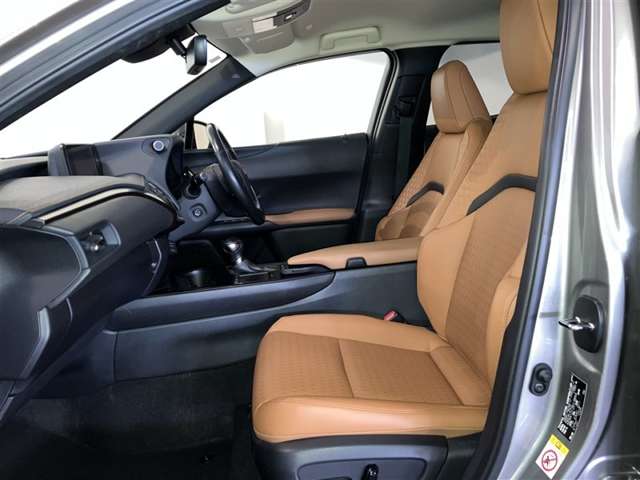 Lexus UX 12