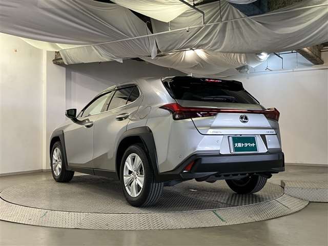 Lexus UX 6