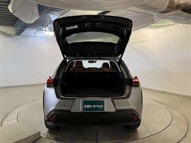 Lexus UX 9