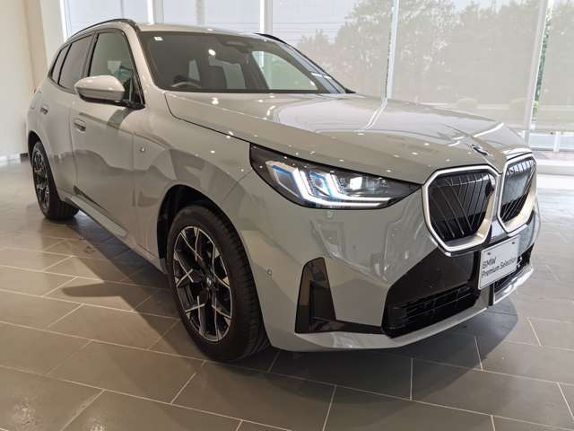 BMW X3 8