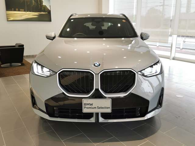 BMW X3 9