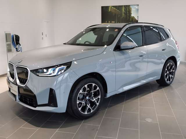 BMW X3 10