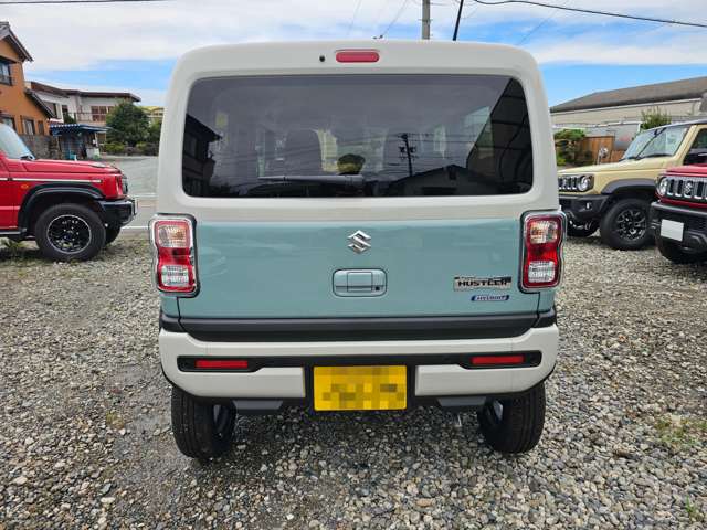 Suzuki Hustler 6
