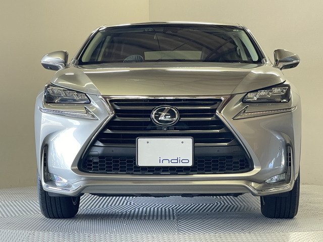Lexus NX 11