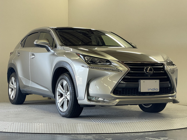 Lexus NX 12